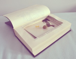 buch mit geheimfach