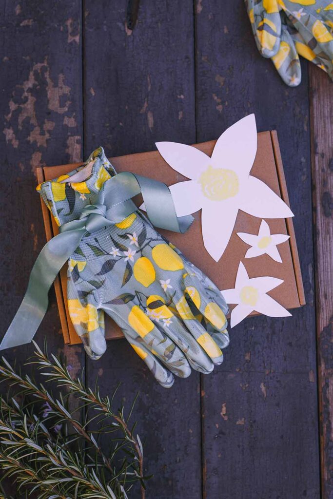 Garten Geschenkbox selbermachen - Saatgut schön verschenken