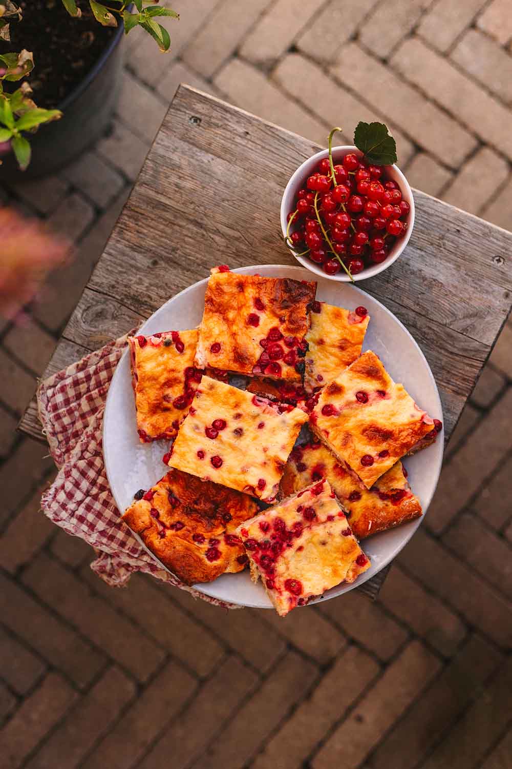 Johannisbeerschmandschnitten - einfaches Blechkuchenrezept mit Johannisbeeren und Schmand auf Quarkölteig